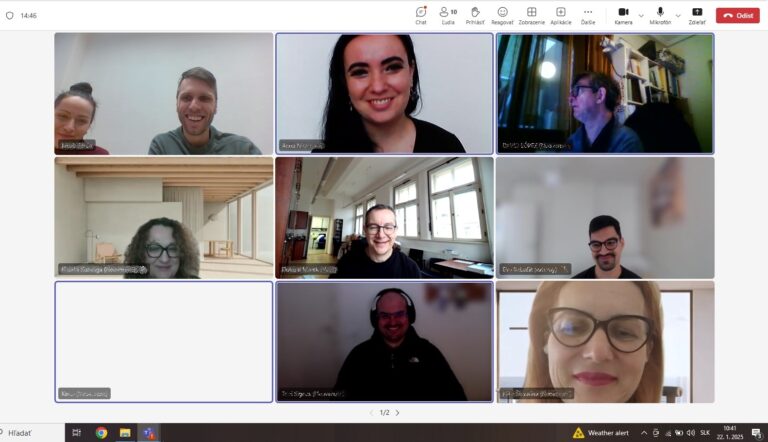 Read more about the article Project meeting 9